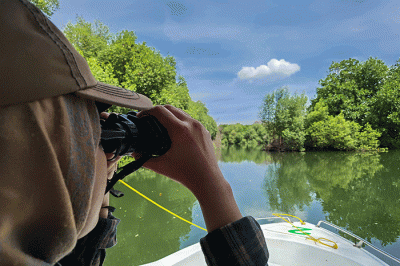Biodiversity Warriors (BW) KEHATI melakukan sensus burung air Asia (Asian Waterbird Census) di Taman Wisata Alam Mangrove Angke Kapuk, Jakarta.