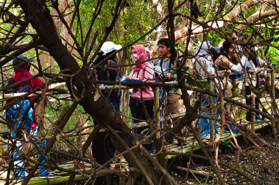 Biodiversity Warriors (BW) KEHATI melakukan sensus burung air Asia (Asian Waterbird Census) di Taman Wisata Alam Mangrove Angke Kapuk, Jakarta.