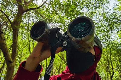 Biodiversity Warriors (BW) KEHATI melakukan sensus burung air Asia (Asian Waterbird Census) di Taman Wisata Alam Mangrove Angke Kapuk, Jakarta.