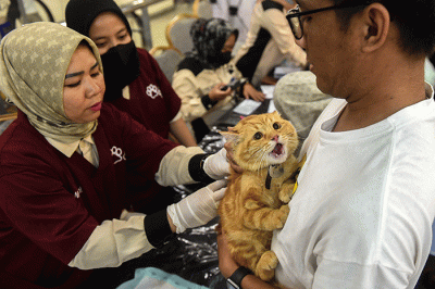 Warga Kota Palembang yang memiliki kucing antusias medatangi dan antre menunggu giliran pemeriksaan kesehatan dan vaksin gratis, di Palembang Indah Mall.
