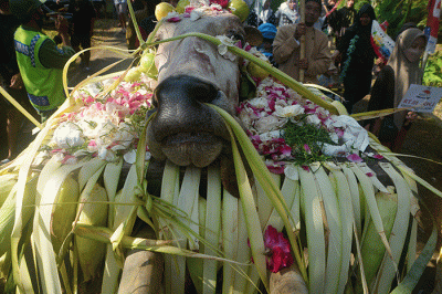 Ratusan warga dari anak-anak, remaja hingga orang tua berbaur mengikuti kegiatan gelar budaya Nyadran Kali di Desa Kandri, Kecamatan Gunungpati, Kota Semarang.