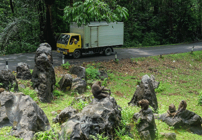 Truk Mitsubishi Fuso tengah melintas di jalan Trans Sulawesi, Jumat (27/1/2023).