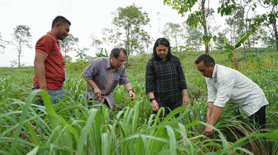 Peresmian Lembaga Pengembangan Bisnis (LPB) Lebak, Banten, Rabu (15/2/2023).