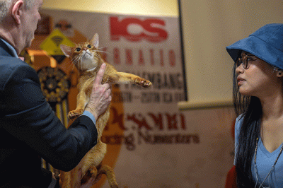 Dua juri internasional Veikko Saarela AB dari Finlandia dan Marteinn Tausen AB dari Islandia menilai kucing peserta The 216th ICA_FIFe Internasional Cat Show.