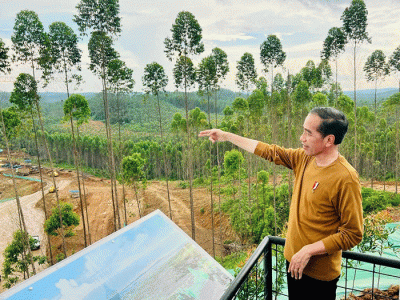 Presiden Joko Widodo meninjau lokasi Istana Kepresidenan di wilayah Ibu Kota Nusantara (IKN), Kabupaten Penajam Paser Utara, Kamis (23/2/2023).