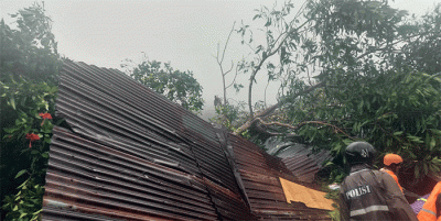 Sebanyak kurang lebih 10 orang dilaporkan meninggal dunia setelah terdampak bencana tanah longsor yang terjadi di Kecamatan Serasan, Kabupaten Natuna.