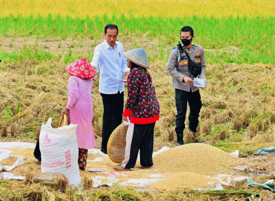 Presiden Jokowi berbincang dengan petani yang sedang memanen padi di Bandung, Jawa Barat, Senin (6/3/2023).
