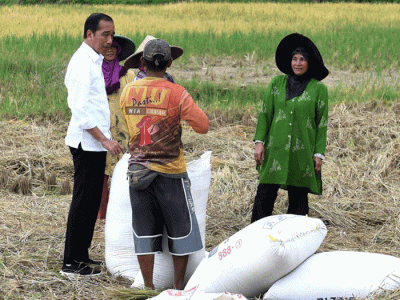 Presiden Jokowi berbincang dengan petani yang sedang memanen padi di Bandung, Jawa Barat, Senin (6/3/2023).