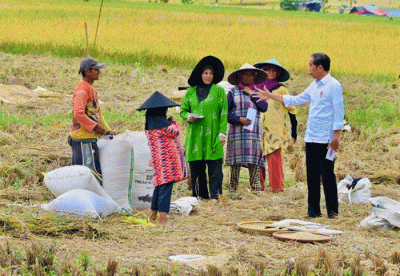 Presiden Jokowi berbincang dengan petani yang sedang memanen padi di Bandung, Jawa Barat, Senin (6/3/2023).