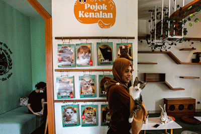 Pengunjung bermain dengan kucing di Kafe Bilik Kucing, Depok, Jawa Barat, Kamis (9/3/2023).