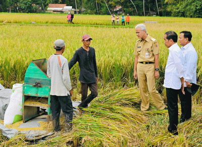 Presiden Joko Widodo meninjau secara langsung panen raya padi di Desa Lajer, Kecamatan Ambal, Kabupaten Kebumen, Jawa Tengah, Kamis (9/3/2023).