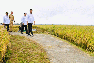 Presiden Joko Widodo meninjau secara langsung panen raya padi di Desa Lajer, Kecamatan Ambal, Kabupaten Kebumen, Jawa Tengah, Kamis (9/3/2023).