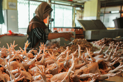 Pedagang menjual ayam potong di Pasar Kramat Jati, Jakarta Timur, Jumat (17/3/2023).