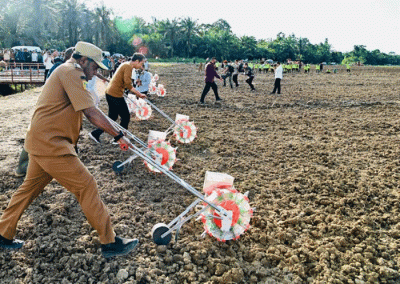 Presiden Joko Widodo menanam benih jagung bersama para petani di lumbung pangan atau food estate di Kabupaten Keerom, Provinsi Papua, Selasa (21/3/2023).