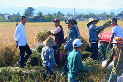 Presiden Joko Widodo meninjau secara langsung pelaksanaan panen raya padi di Kabupaten Maros, Sulawesi Selatan, Kamis (30/3/2023).