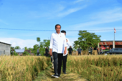 Presiden Joko Widodo meninjau secara langsung pelaksanaan panen raya padi di Kabupaten Maros, Sulawesi Selatan, Kamis (30/3/2023).