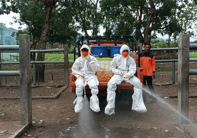 Relawan Badan Penanggulangan Bencana Daerah (BPBD) Jawa Timur melakukan penyemprotan disinfektan di Pasar Hewan Mojokerto, Jawa Timur.