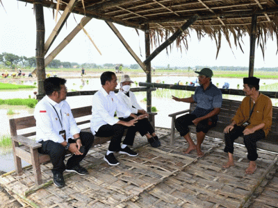 Presiden Joko Widodo melakukan kegiatan percepatan tanam padi pascapanen bersama para petani di Kawasan Daulat Pangan Serikat Petani Indonesia, Desa Senori.