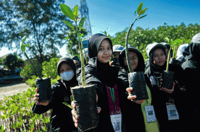 Peserta kegiatan ekspedisi ramadan penuh inspirasi tahun 1444 Hijriah menunjukan bibit mangrove yang akan ditanam di Pulau Pramuka, Kepulauan Seribu.