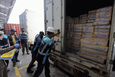 Direktur Utama Perum BULOG Budi Waseso menunjukkan daging beku impor dari India di New Priok Container Terminal One (NPCT1), Tanjung Priok.