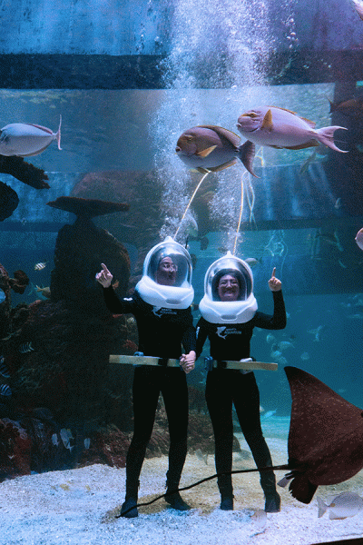 Pengunjung saat menikmati suasana Jakarta Aquarium & Safari di Jakarta.