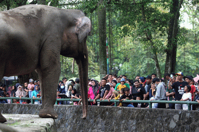 Ribuan pengunjung memadati Taman Margasatwa Ragunan, Jakarta Selatan, Senin (24/4/2023).
