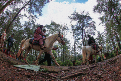 Sejumlah warga berwisata di kawasan Puncak Malino, Kabupaten Gowa, Provinsi Sulawesi Selatan, Rabu (26/4/2023).