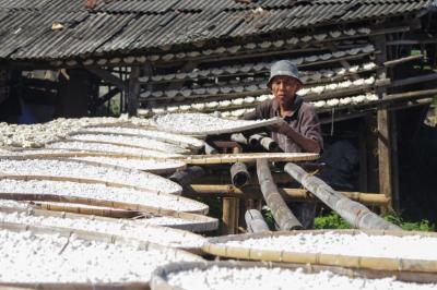 Hasim, perajin tepung aci menjemur bahan baku singkong di kawasan Kampung Pisang, Bogor, Jawa Barat, Jumat (12/5/2023).