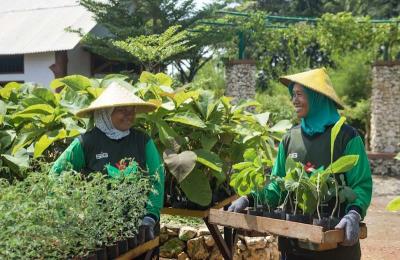 Petani green belt melakukan pembibitan kaliandra merah di area green house eco park kembang semi, Tuban.