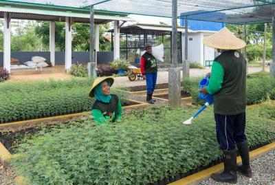 Petani green belt melakukan pembibitan kaliandra merah di area green house eco park kembang semi, Tuban.