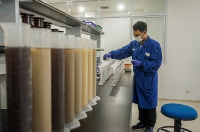 Petugas melakukan pemeriksaan sample di Laboratorium MUTU International, Cimanggis, Depok, Jawa Barat (29/5/2023).