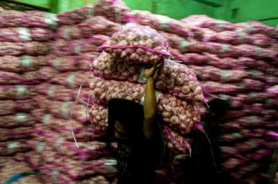 Pekerja memindahkan stok bawang putih dari gudang ke atas mobil di Pasar Induk Kramat Jati, Jakarta, Selasa (30/5/2023).