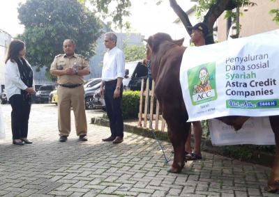 ACC menyerahkan hewan kurban di Kantor Pusat ACC di Jalan TB Simatupang, Jakarta Selatan, Senin (26/6/2023).
