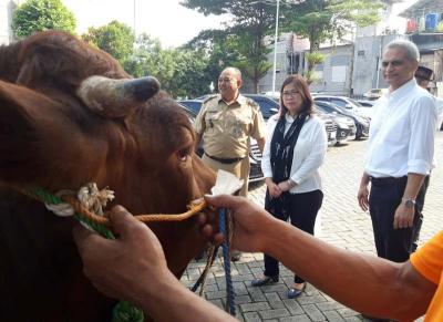 ACC menyerahkan hewan kurban di Kantor Pusat ACC di Jalan TB Simatupang, Jakarta Selatan, Senin (26/6/2023).