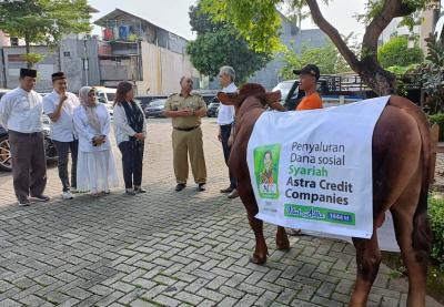 ACC menyerahkan hewan kurban di Kantor Pusat ACC di Jalan TB Simatupang, Jakarta Selatan, Senin (26/6/2023).