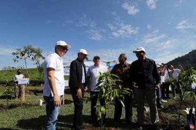 Astra Financial menyelenggarakan kegiatan penanaman 6.500 pohon di kawasan Telaga, Hulu Sungai Ciliwung, Bogor, Jawa Barat, Jumat (21/7/2023).
