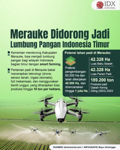 Merauke Didorong Jadi Lumbung Pangan Indonesia Timur. (Foto: Tim Digital Marketing IDX Channel)