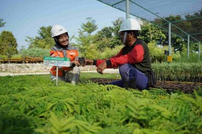 Area pembibitan tanaman Kaliandra di kawasan Griyo Winih Ecopark Kambang Semi lahan pascatambang tanah liat Pabrik Tuban, Jawa Timur.