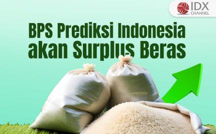 BPS Prediksi Indonesia akan Surplus Beras, Ini Tanggapan Pengamat (Foto : Tim Digital Marketing IDX Channel)