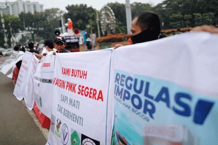 Puluhan Peternak Sapi yang tergabung dalam Komunitas Sapi Indonesia (KSI) melakukan aksi unjuk rasa di kawasan Patung Kuda, Jakarta Pusat, Rabu (15/6/2022).