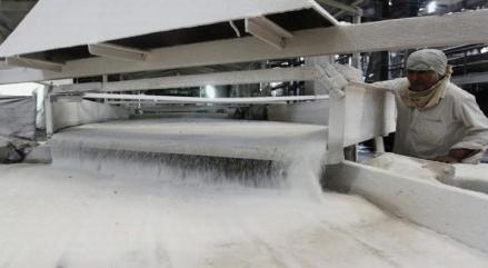 Produksi Gula Ditargetkan Naik 10 Ton per Hektare, Mentan Siapkan Strategi Ini. (Foto iNews Media Group)