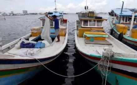 Menteri KKP Klaim Ilegal Fishing di Indonesia Sudah Sangat Jauh Berkurang  (foto: MNC MEdia)
