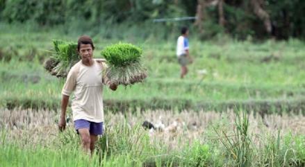Penyaluran Dana Desa Capai Rp40,3 Triliun hingga 14 Juli 2025 (FOTO:iNews Media Group)