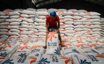 200 Ribu Ton Beras Asal Vietnam sampai Pakistan Sudah Datang ke RI