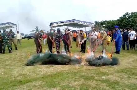 Sayonara, Kampung Susi Pudjiastuti Tak Lagi Ekspor Bayi Lobster ke Jepang (FOTO: MNC Media)