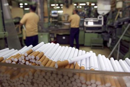 Cuan Ngebul, Wismilak (WIIM) Bagi Dividen Rp72,9 per Saham (Foto MNC Media)