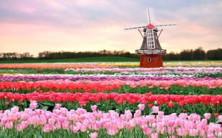Asik Banget! Belanda Beri THR Khusus Liburan Setiap Tahun (FOTO:MNC Media)