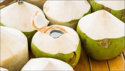 Nias Utara Ekspor Perdana 74 Ton Kelapa Segar ke China. (Foto: MNC Media)