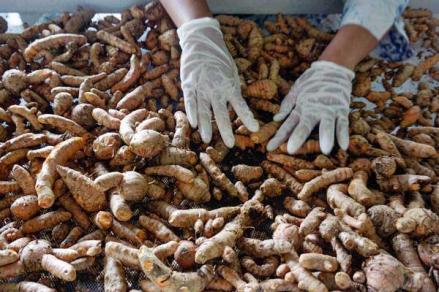 Kemendag Ekspor Produk Jamu dan Suplemen Herbal ke Nigeria. (Foto: MNC Media)