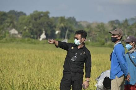 Dorong Ekspor di Pasar Global, Kementan Minta Pemda Bentuk BUMD Pertanian (FOTO:MNC Media)
